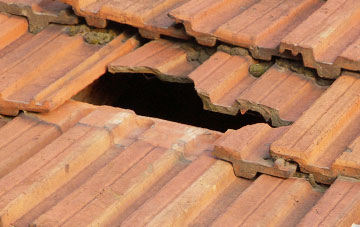 roof repair Tretire, Herefordshire